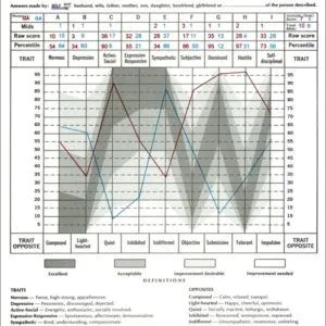 Taylor-Johnson Temperament Analysis