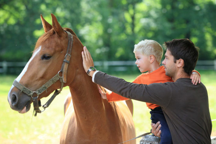 Equine Therapy